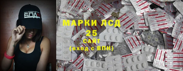 эйфоретик Ельня