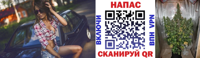 МАРИХУАНА ГИДРОПОН  Купить закладки  Ивдель 
